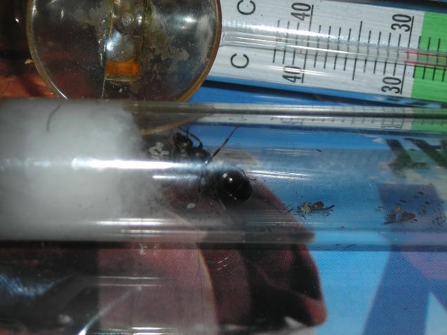 Вот как все начиналось.